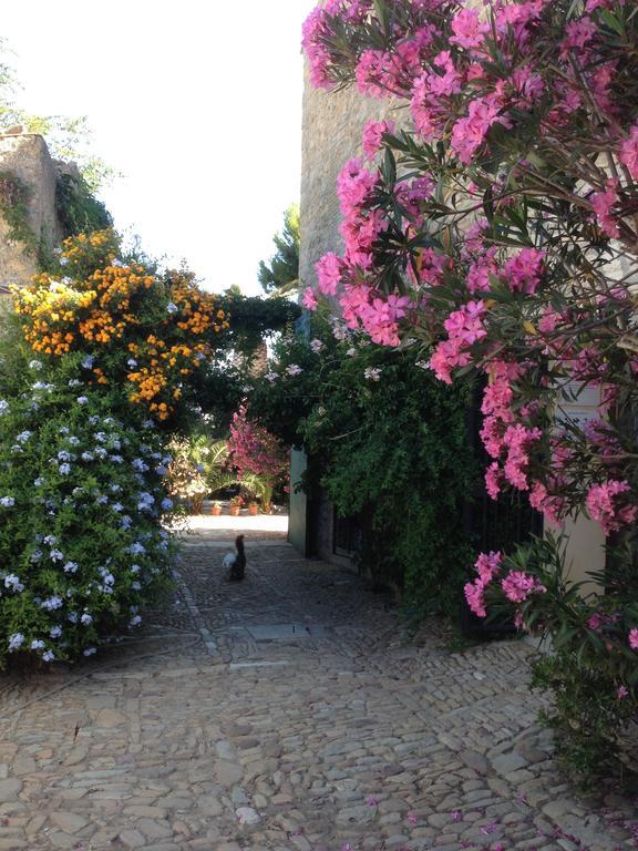 קורליאונה Agriturismo Ridocco מראה חיצוני תמונה