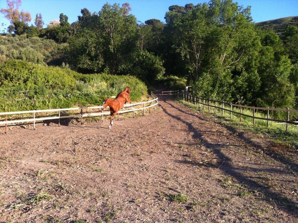 קורליאונה Agriturismo Ridocco מראה חיצוני תמונה