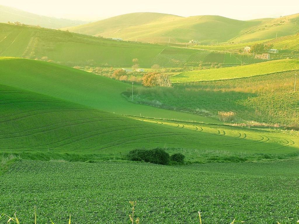 קורליאונה Agriturismo Ridocco מראה חיצוני תמונה